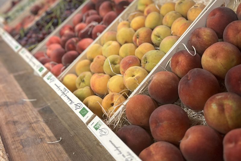 Caisses d'abricots et de pêches bio