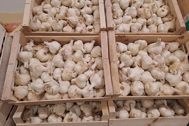 Caisses de têtes d'ail bio