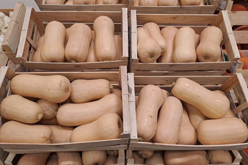 Caisses de courges butternut bio
