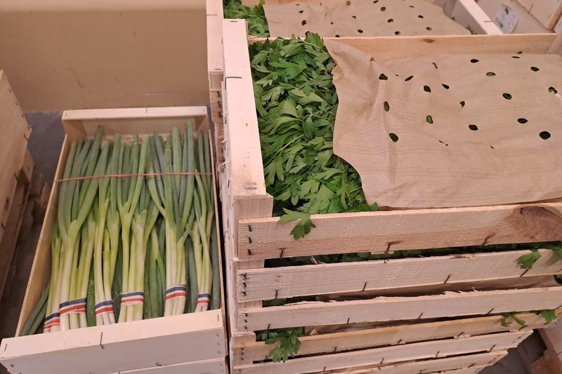 Caisses de céleri et d'herbes fraîches bio