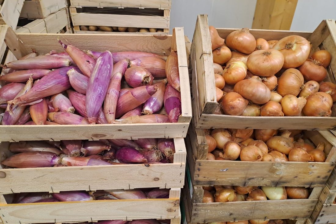 Caisses d'échalotes et d'oignons bio prêtes au départ