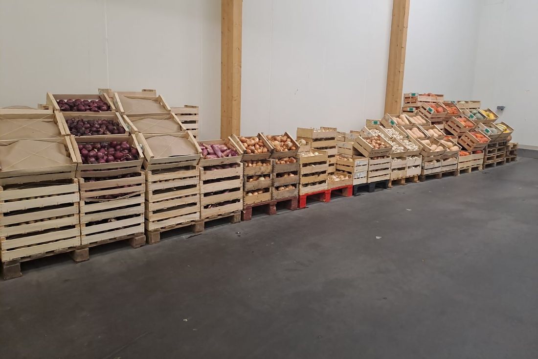 Palettes de caisses de fruits et légumes bio prêtes au départ