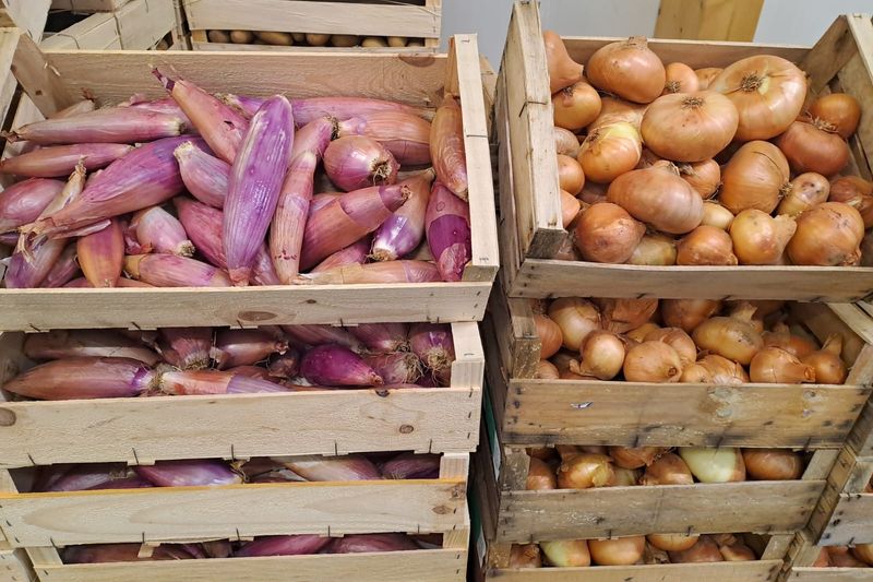 Caisses d'oignons jaunes et d'échalotes bio