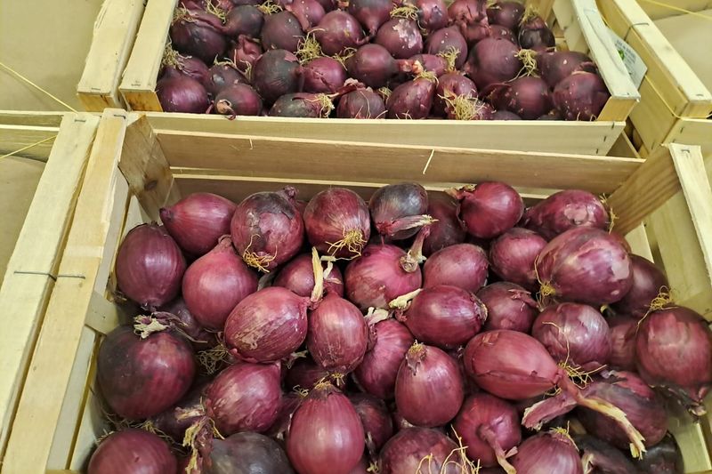Caisses d'oignons rouges bio