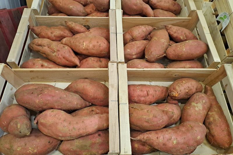 Caisses de patates douces bio