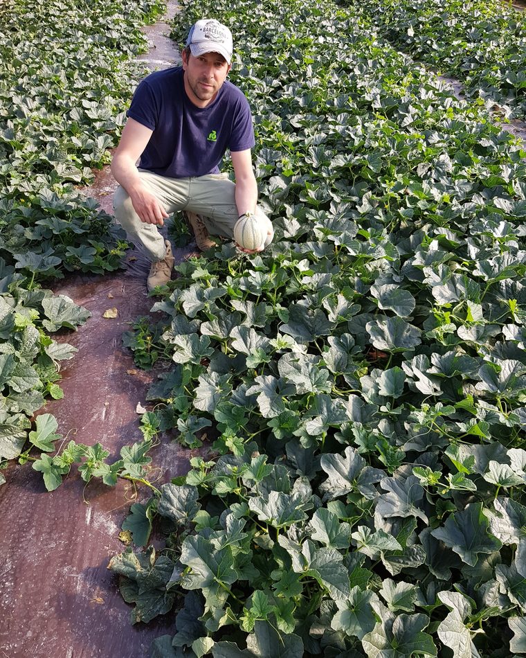Pierre Cabot, producteur de melons bio à Arles — Mas de la Treille