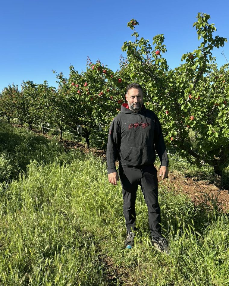 Benoît Amphoux, producteur d'abricots bio à Générac — Mas Famille Amphoux