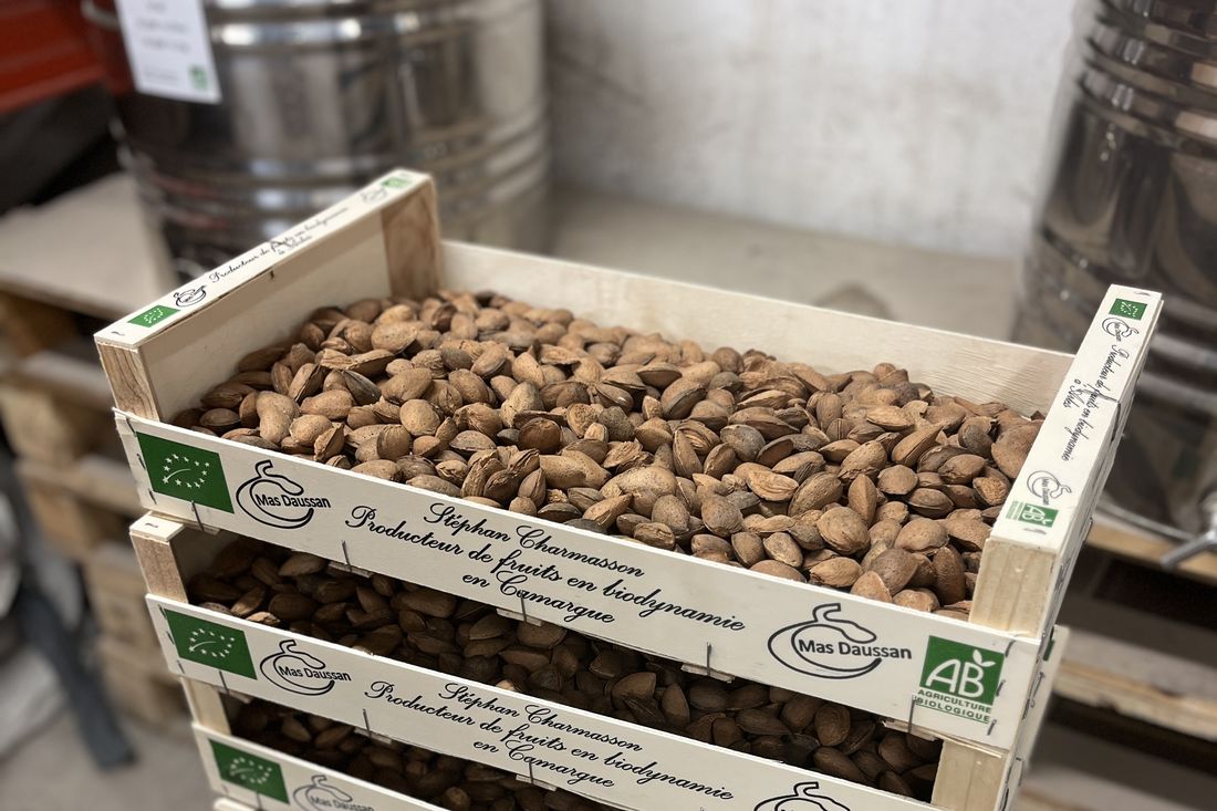 Caisses d'amandes bio en coque du Mas Daussan