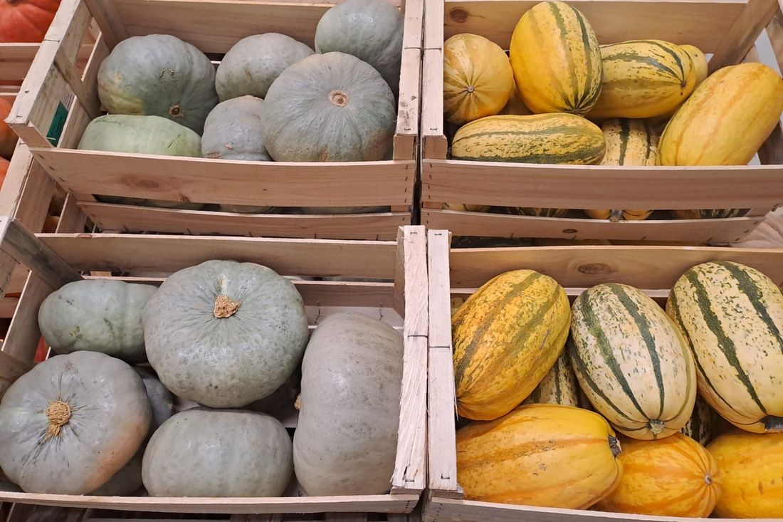 Caisses de courges bio de variétés différentes